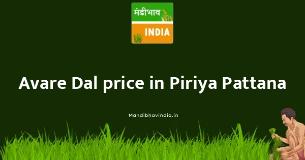 Avare Dal price